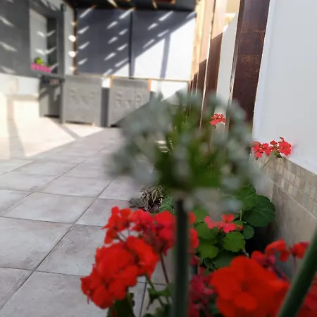 La Miel Apartment
